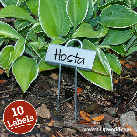 Miniature Plant Labels