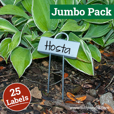 Miniature Plant Labels Jumbo Pack
