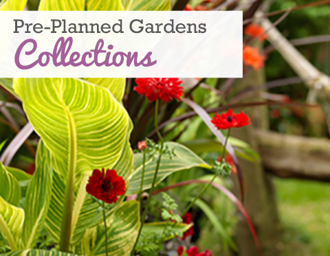 Spring Planted Collections
