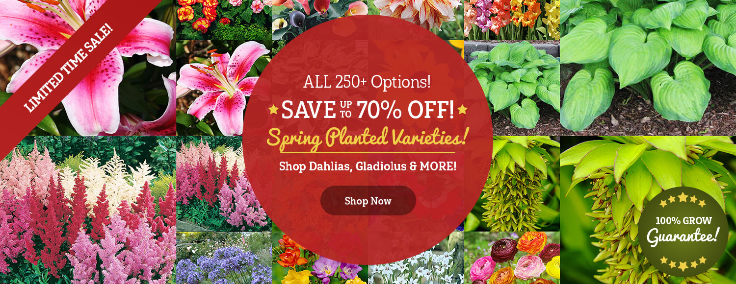 SPRING KICKOFF: Up To 70% OFF Spring!