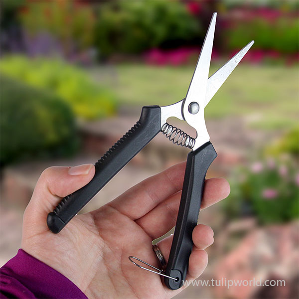 Mini Garden Scissors