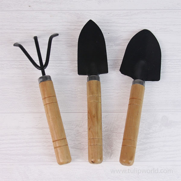 Mini Garden  Tools