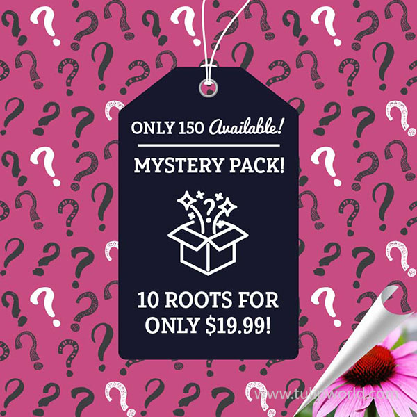 Mystery Perennial Pack