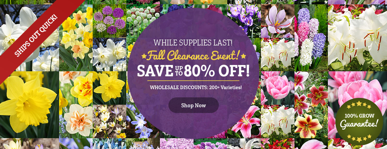 Fall Planting Sale | Shop up to 80% OFF 250+!